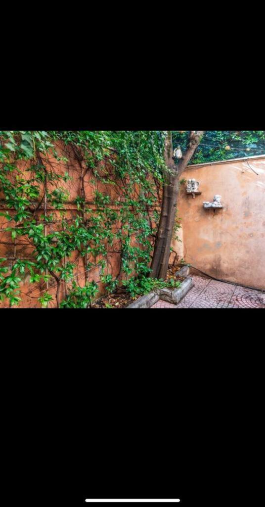 Olimpico'S Apartment روما المظهر الخارجي الصورة